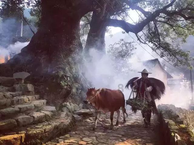 甜美奥莉暑假逛街