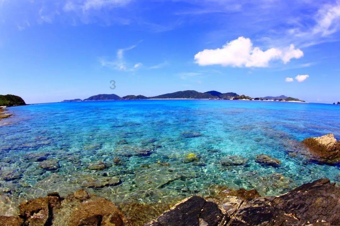 泰山队队内对抗赛调整状态,新外援打进两球,国脚下周归队合练